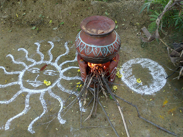 Pongal – ATime to Start Anew!