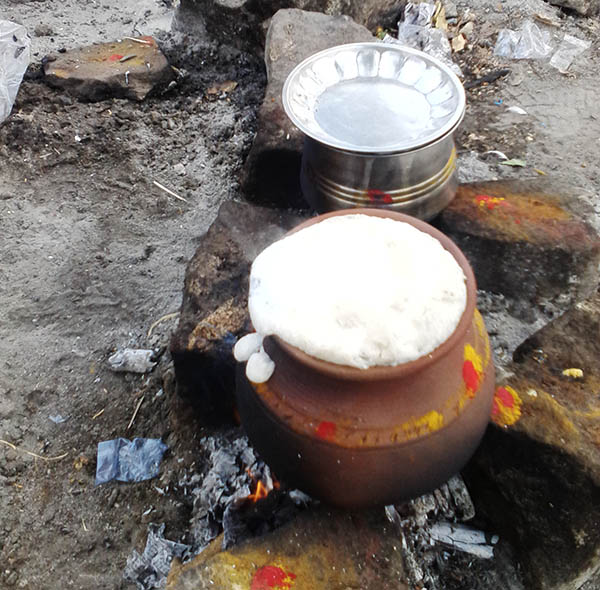 Pongal – ATime to Start Anew!