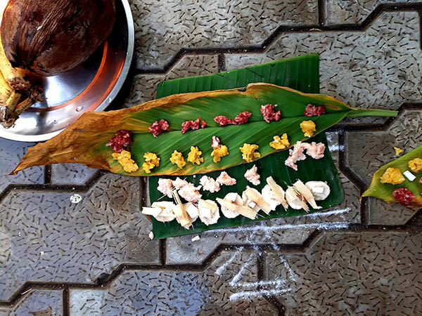 Pongal – ATime to Start Anew!